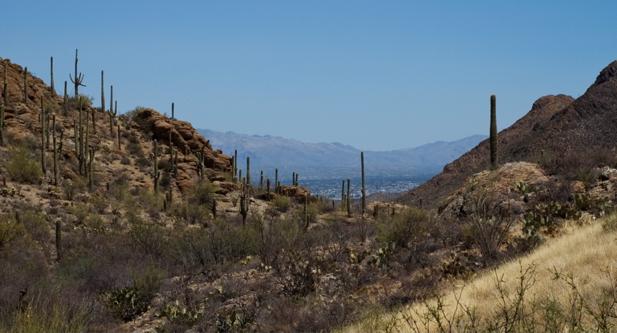 Arizona - Looking Towards Tuscon